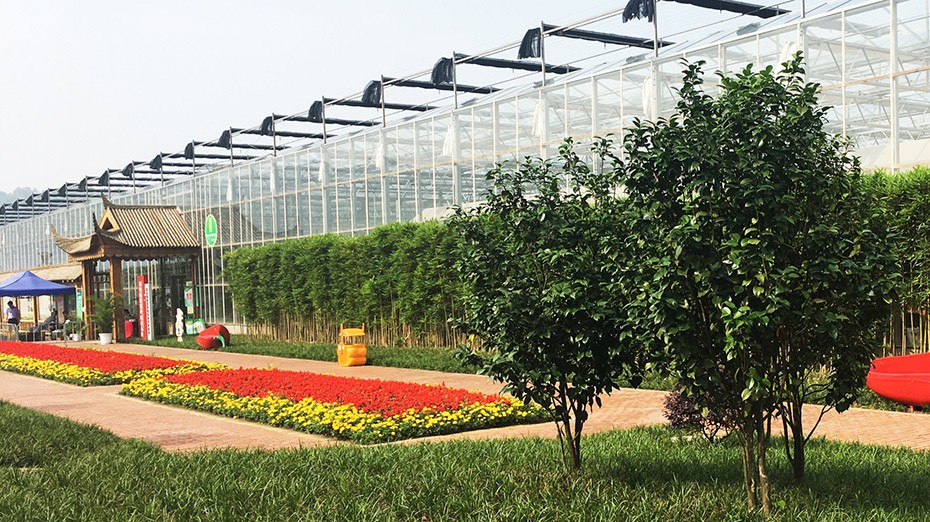 金沙bjs线路检测中心园林绿化维护